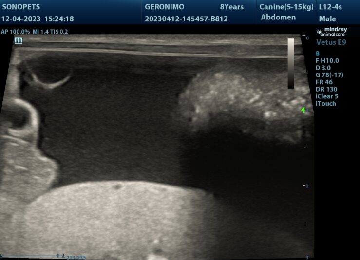 202304121919360027ABD