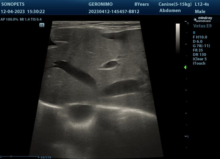 202304121933090035ABD