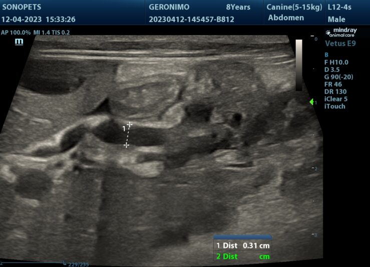 202304121934340038ABD