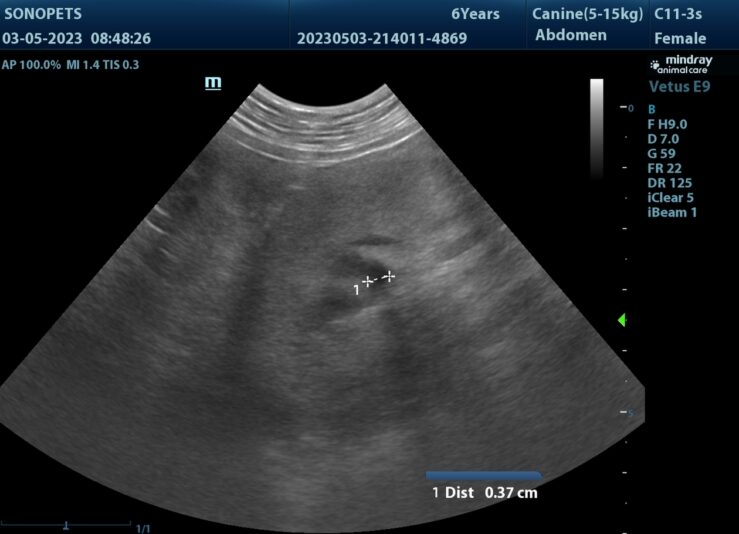 202305031651010010ABD