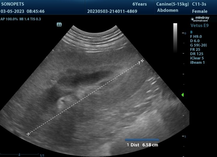 202305031647340001ABD