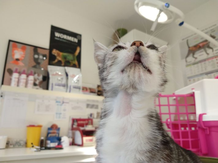 312103310_843566183657895_5128204014208116236_n