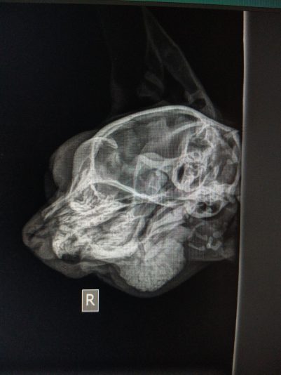 311470796_836663314338833_6881141259204724828_n