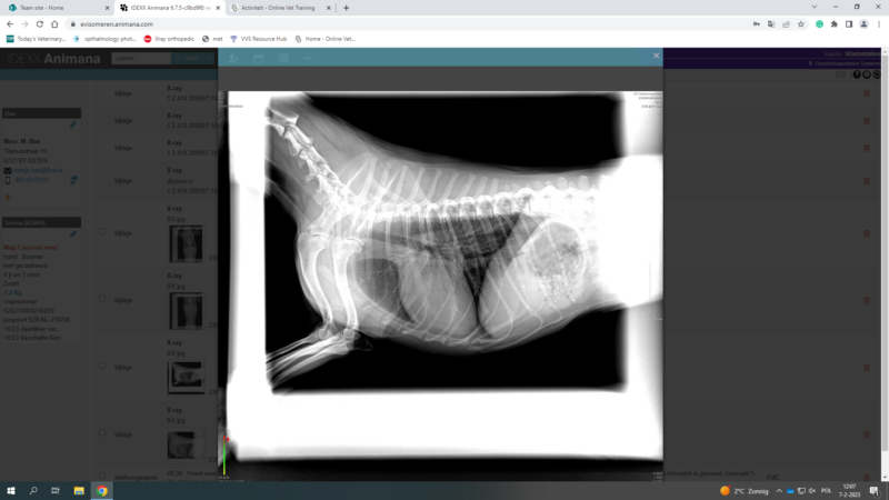 325509933_570258148110394_4665456155799099570_n