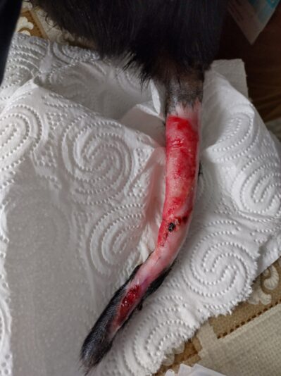 staartmathumbnail_IMG_20230220_123536_HDR