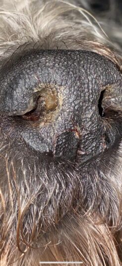 5de6436a-5e52-46ed-98d9-312c45740569