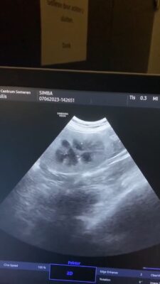 351427018_9606082609434321_2886083048813469964_n