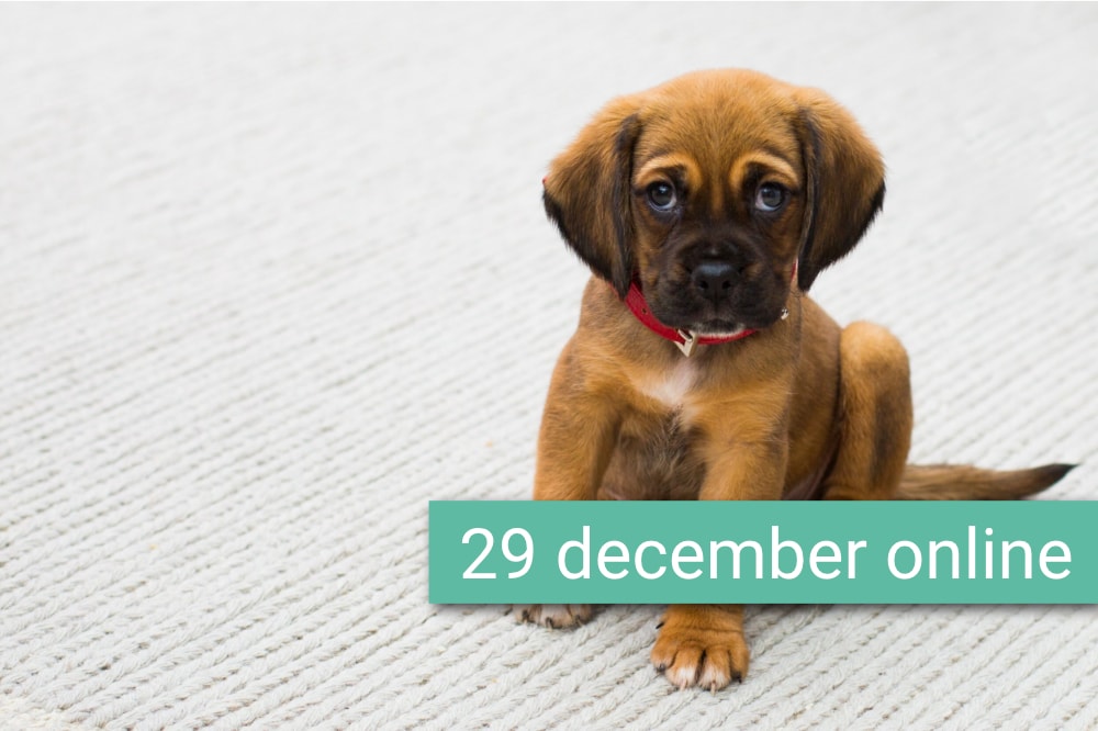 Puppyvoeding Online Vet Training