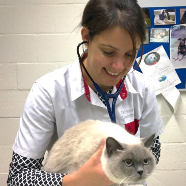 Image of Online Vet Training instructor Pascale Smets