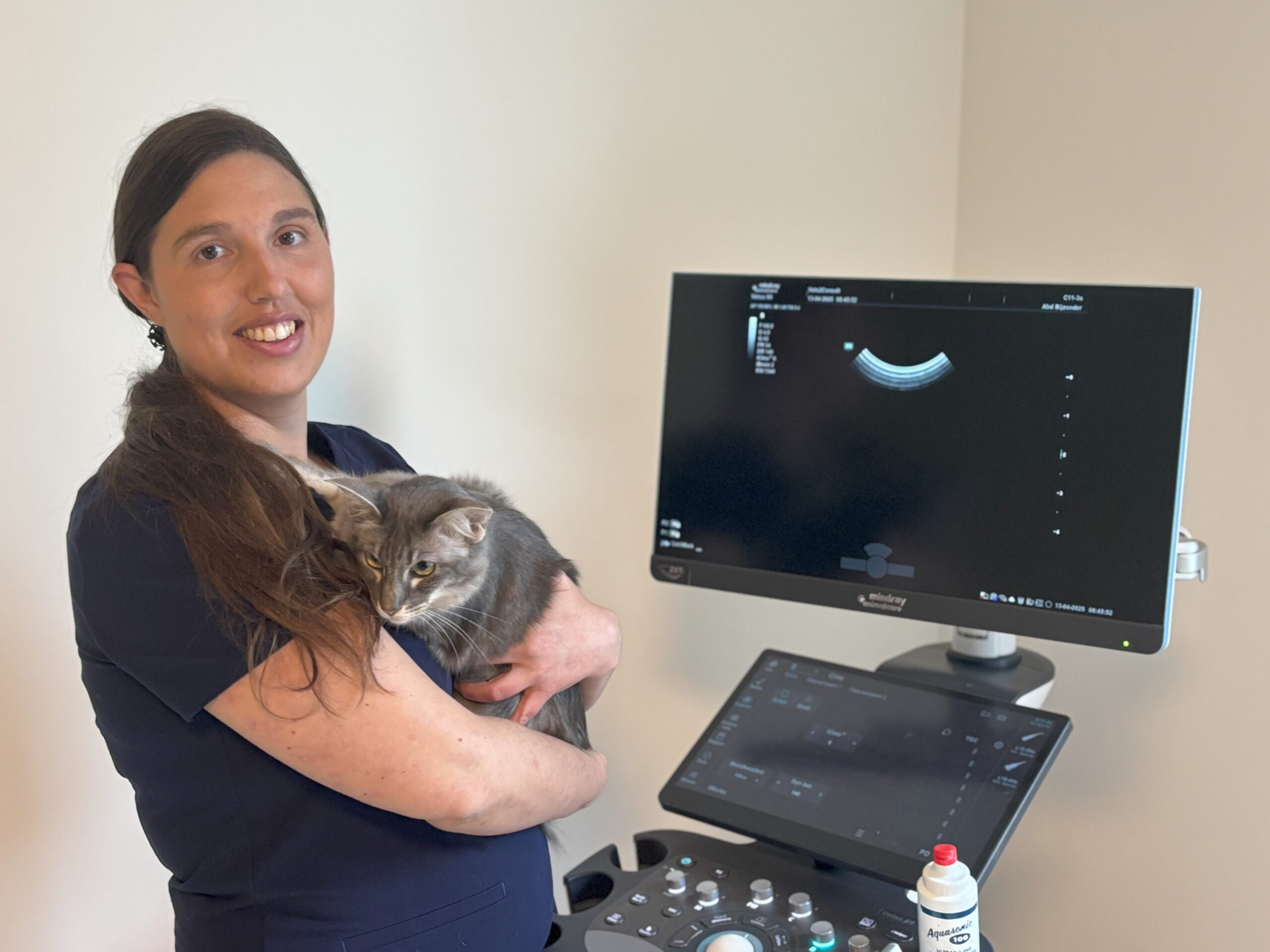 afbeelding van Online Vet Training lesgever Emmelie Stock