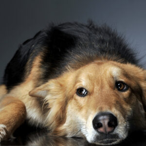 Klinische Oncologiecases