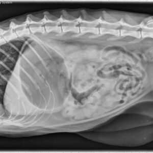 Klinische cases – Radiografie