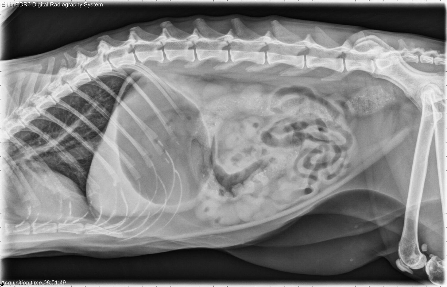 Klinische cases – Radiografie
