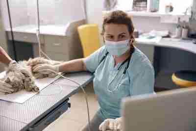 Klinische cases – Abdominale echografie