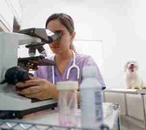 Klinische Cases – Cytologie