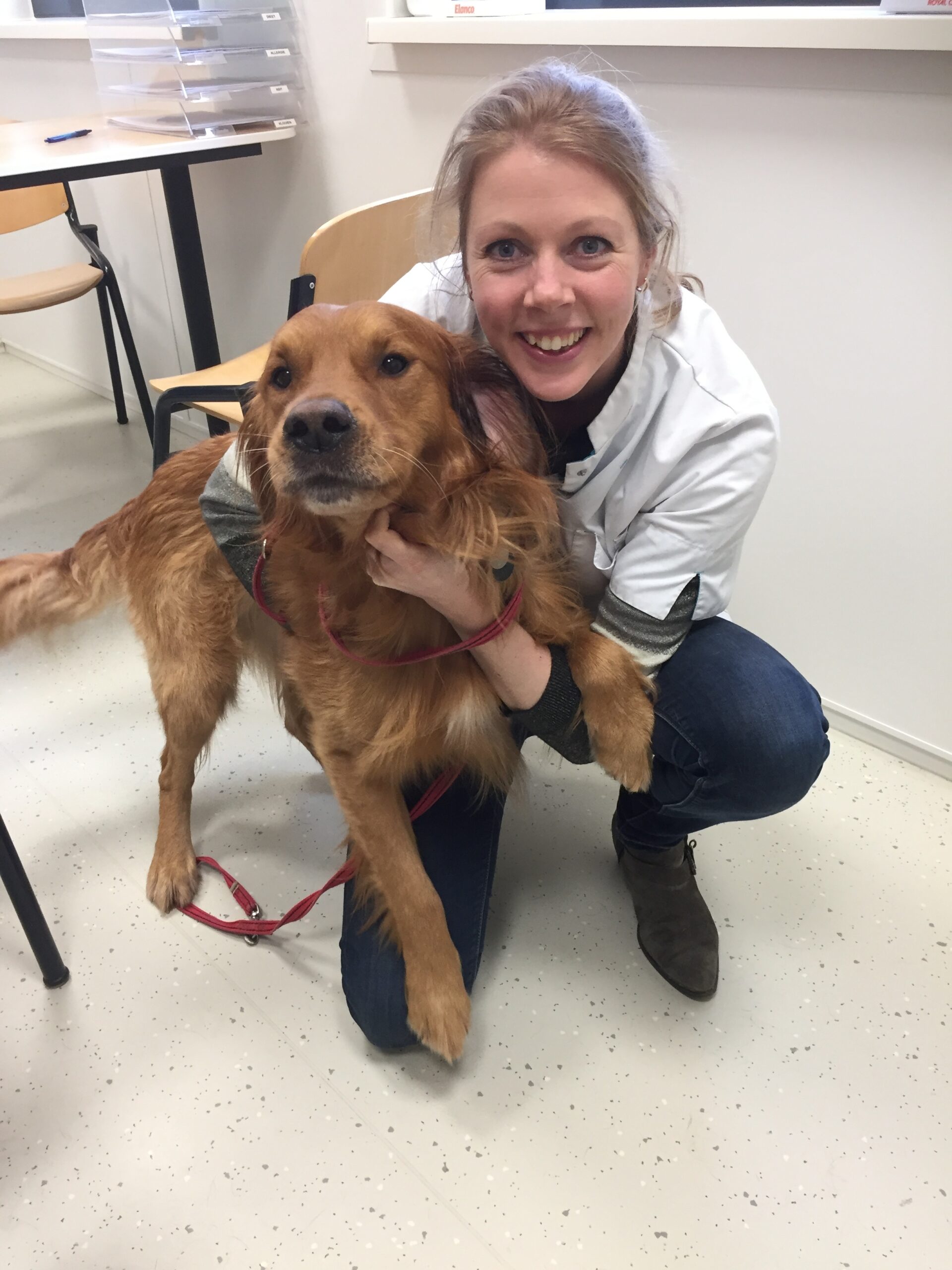 afbeelding van Online Vet Training lesgever Annette van der Lee